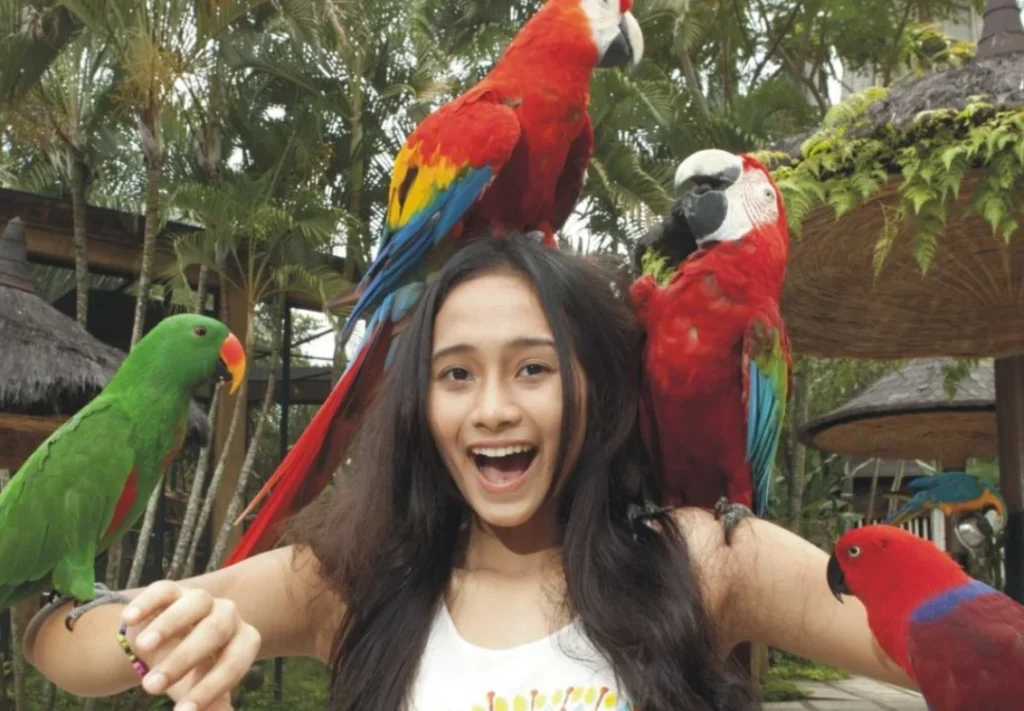 Bali Familien-Erlebnisreise