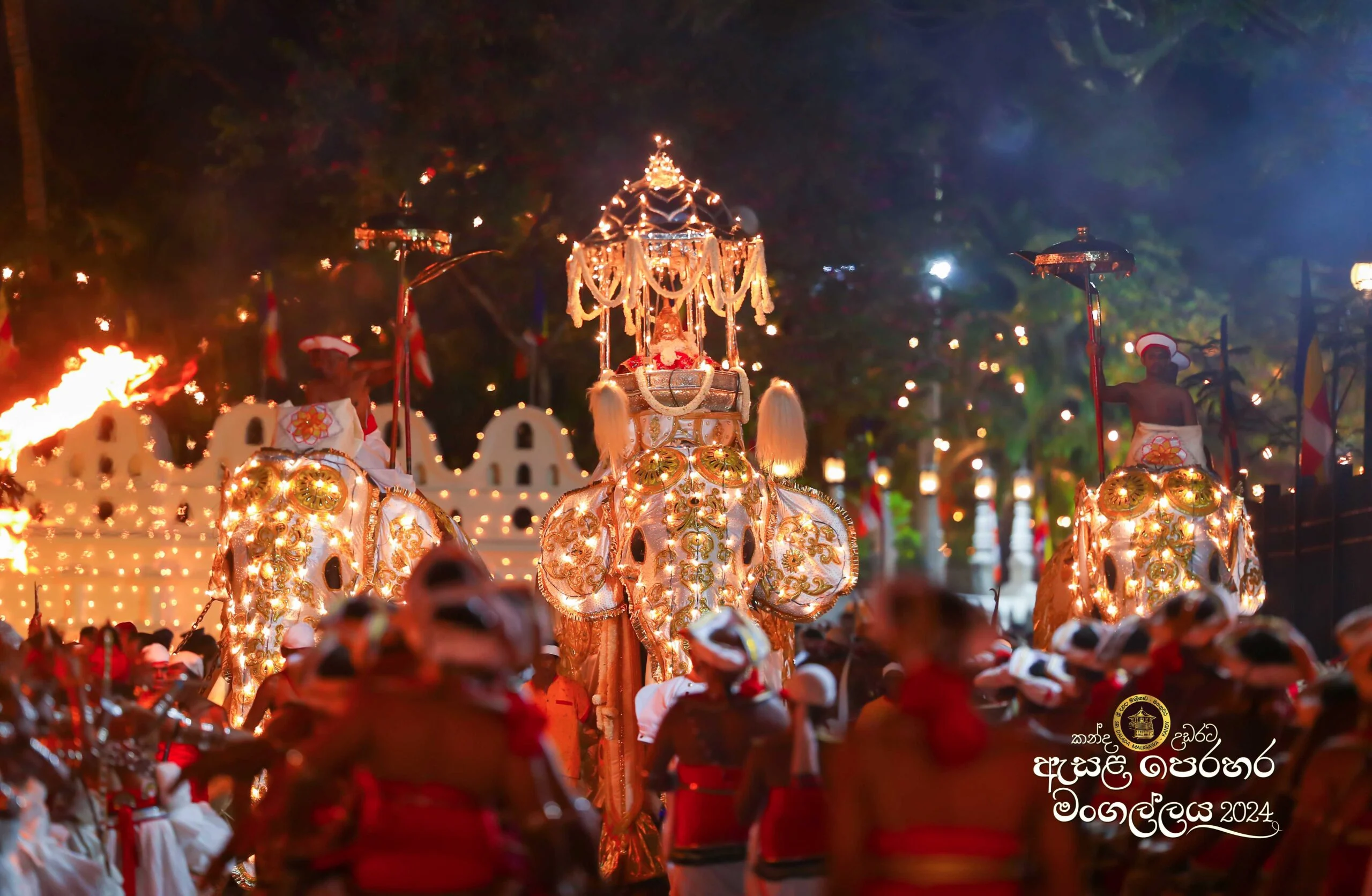 Kandy Esala Perahera Festival 2025 & Familien-Erlebnisreise