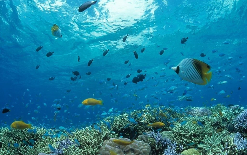 Private Erlebnisreise Sri Lanka - Abenteuer & Erholung