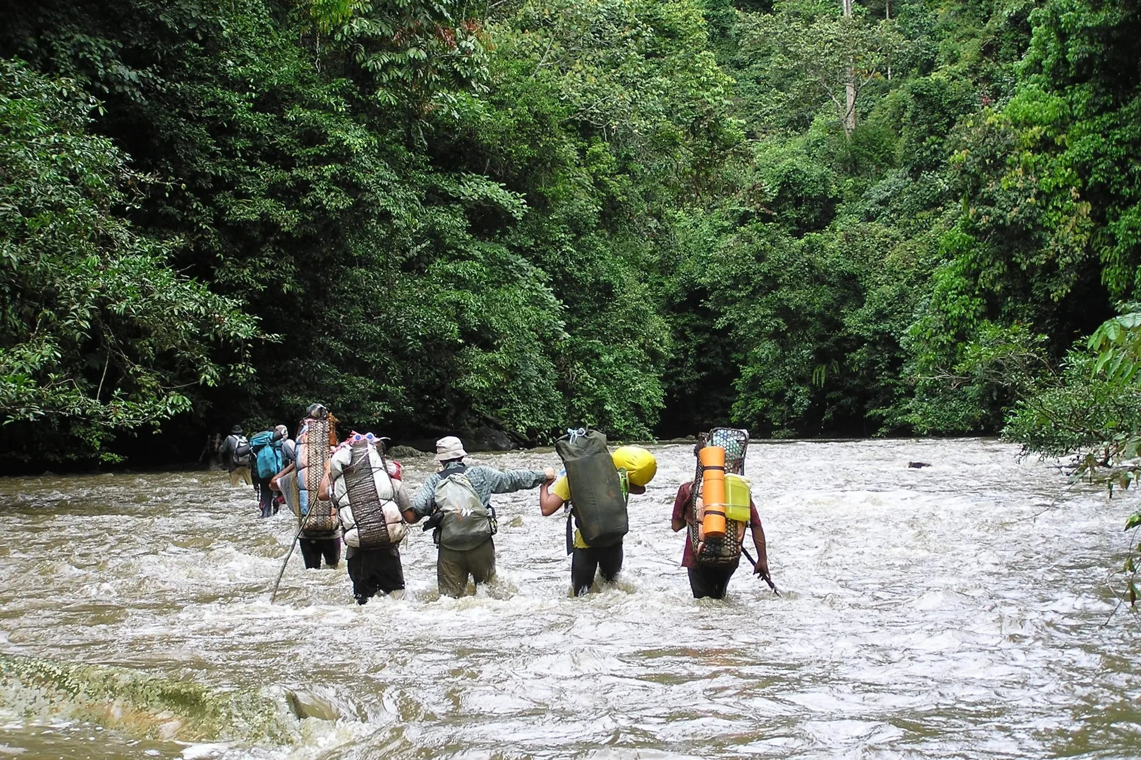 Ost-Kalimantan - Wehea Nature Reserve & Schnorcheln im Korallendreieck