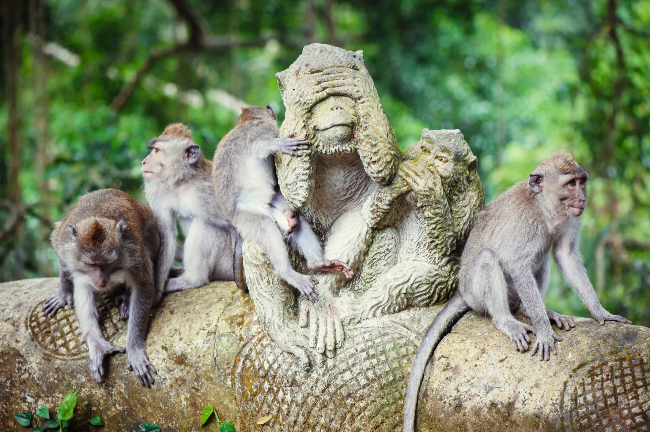 Familien-Reise - Bali - Lombok - Gili Islands & Nusa Lembongan
